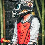 Armure protection Pare - pierre moto - LE PRATIQUE DU MOTARD