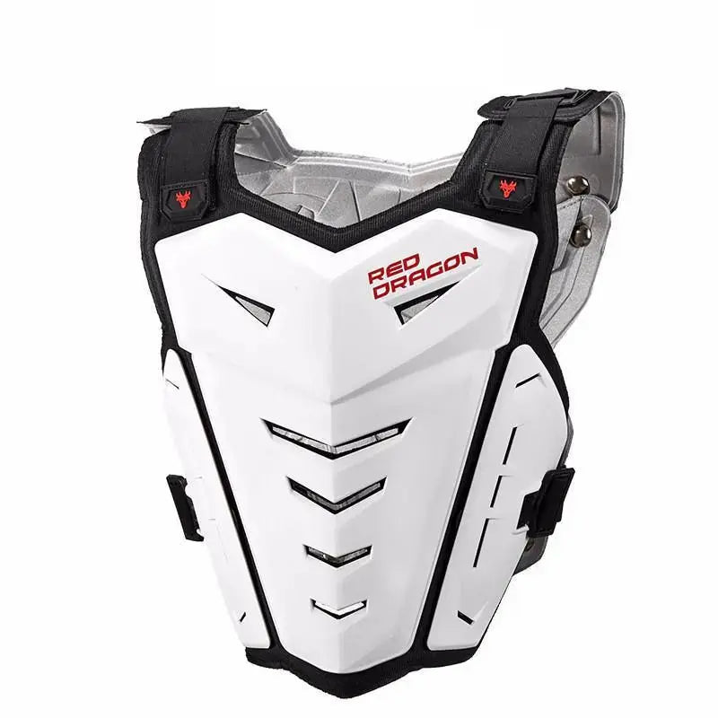Armure protection Pare-pierre moto - Le Pratique du Motard