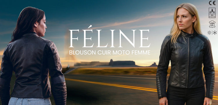 LE PRATIQUE DU MOTARD