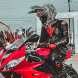 Couvre Casque Moto - Lapin maléfique Le Pratique du Motard